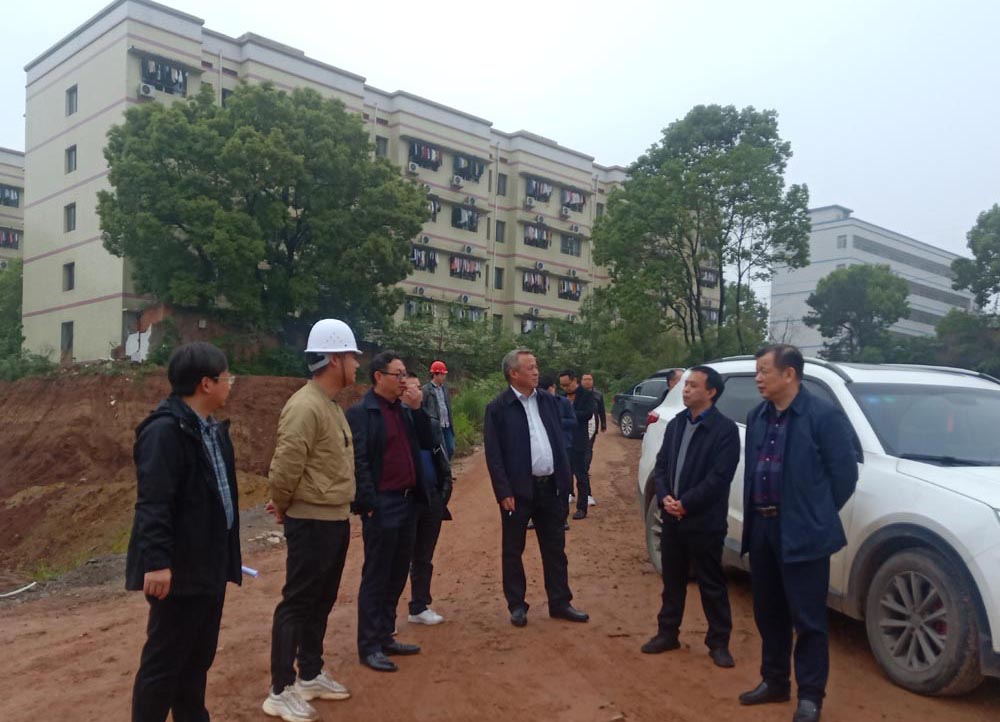 衡阳市龚学余副市长一行莅临德甲检查指导工作 衡阳市龚学余副市长一行莅临德甲检查指导工作