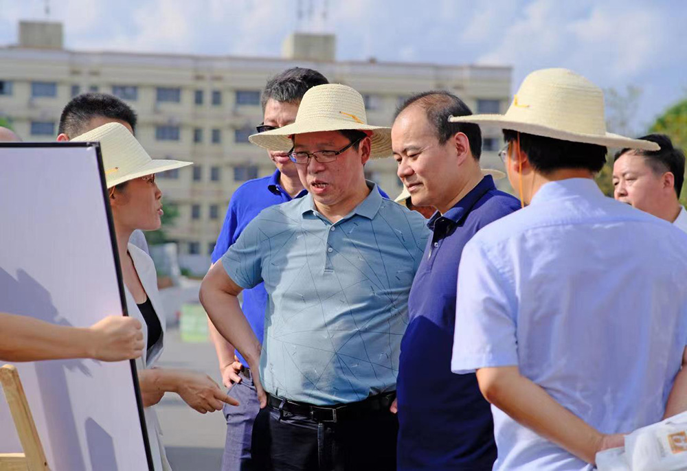 朱健调研德甲周边道路建设