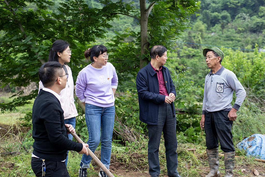 主题党日创新意 田间地头闹春耕 主题党日创新意 田间地头闹春耕